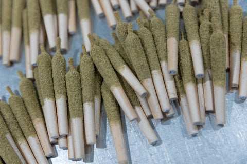 What Are Infused Pre-Rolls? A Comprehensive Beginner’s Guide