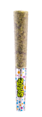 1pk Infused Preroll Blue Widow Sativa