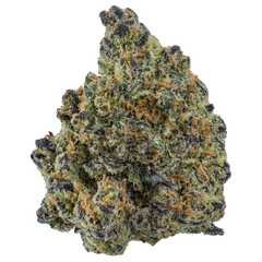 Blue Widow - Second Image