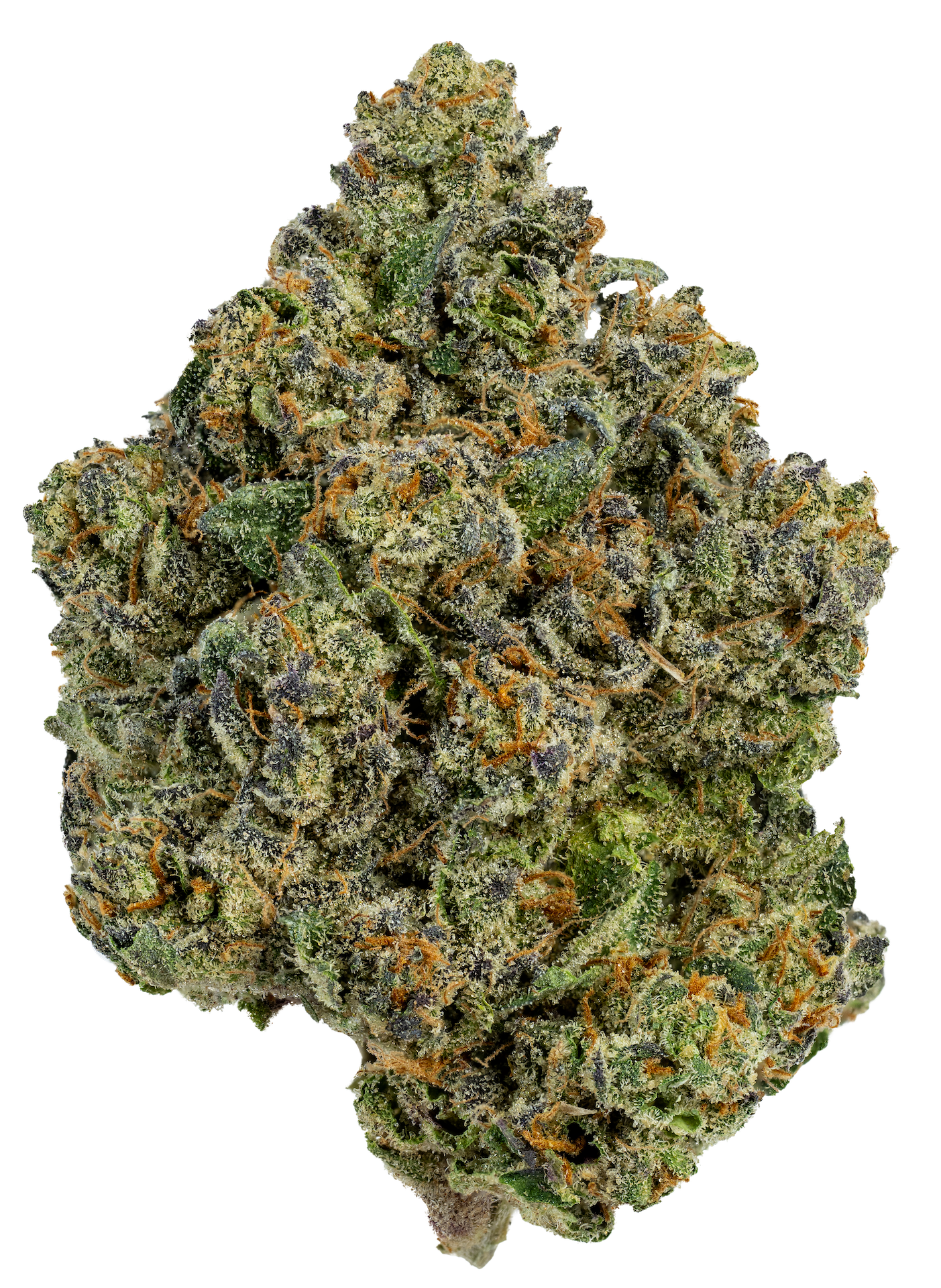Flower 3.5g Spritz Jezzica Rabbit Sativa
