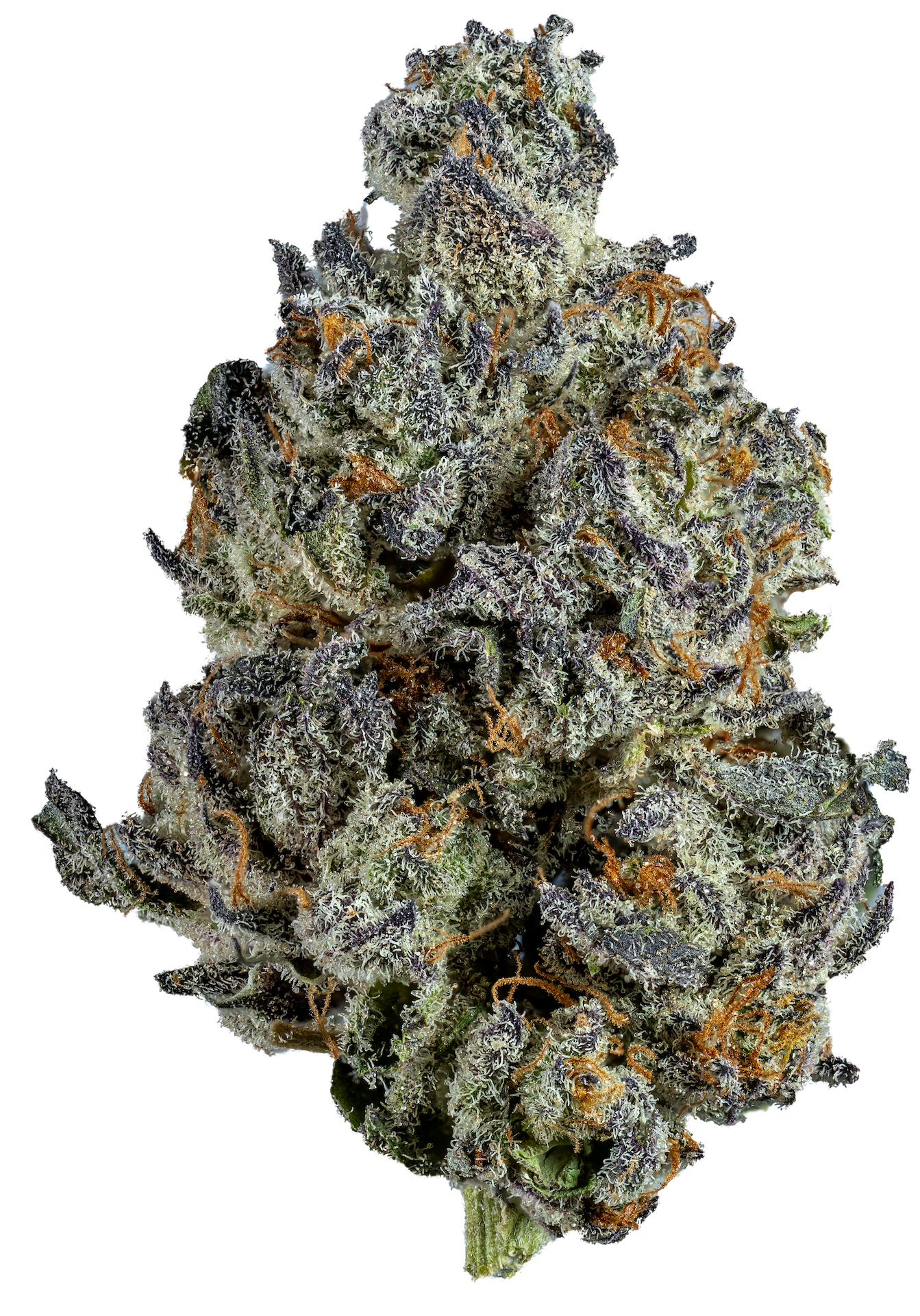 Special Edition - 3.5g Flower Spritz Queen Peach Sativa